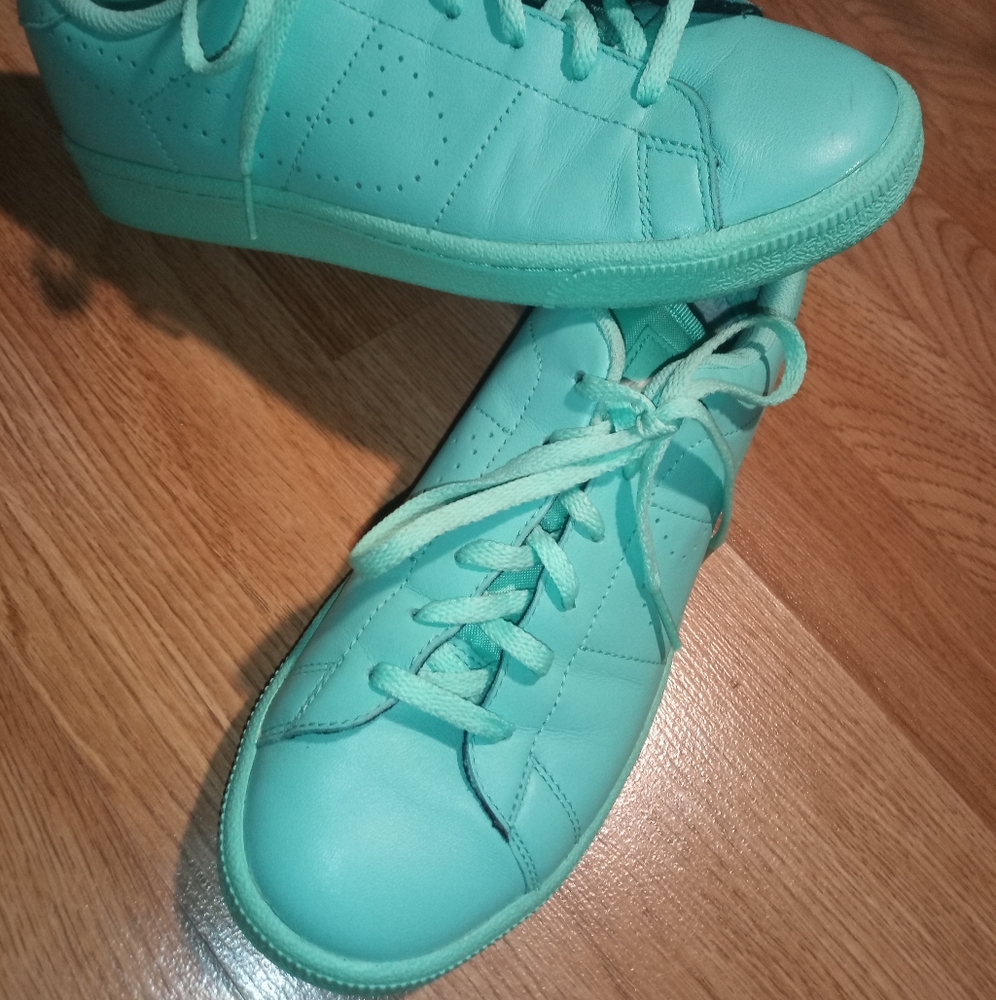 Turquoise/Teal Nike Court Royale 2's